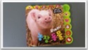 4개월에서 6개월 아이 발달놀이도구1:돼지인형